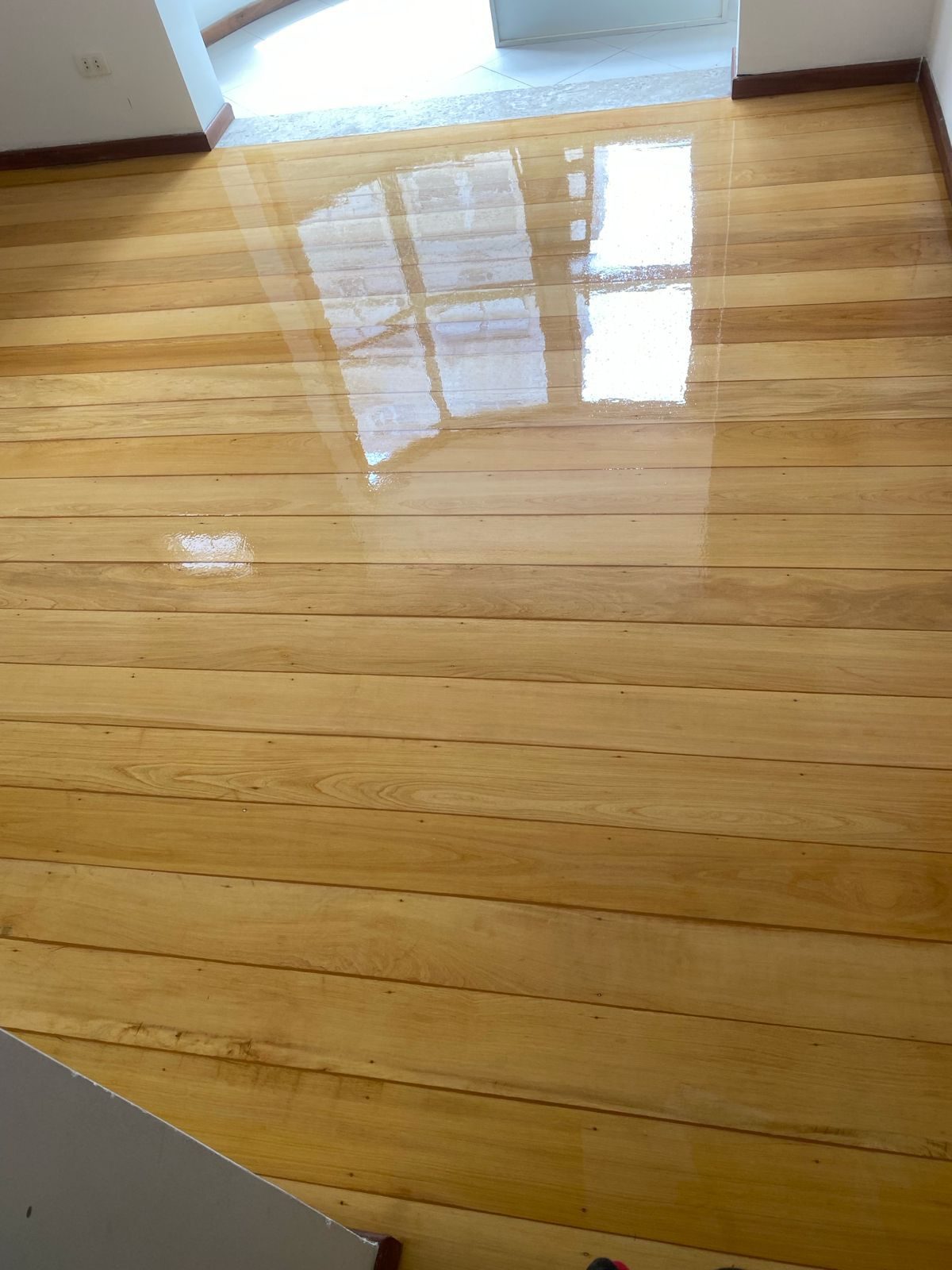 Piso de madeira clara recém-envernizado refletindo a janela